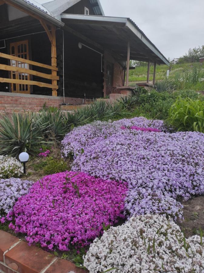 Stadnina Koni Tarka Zwierzyniec Extérieur photo