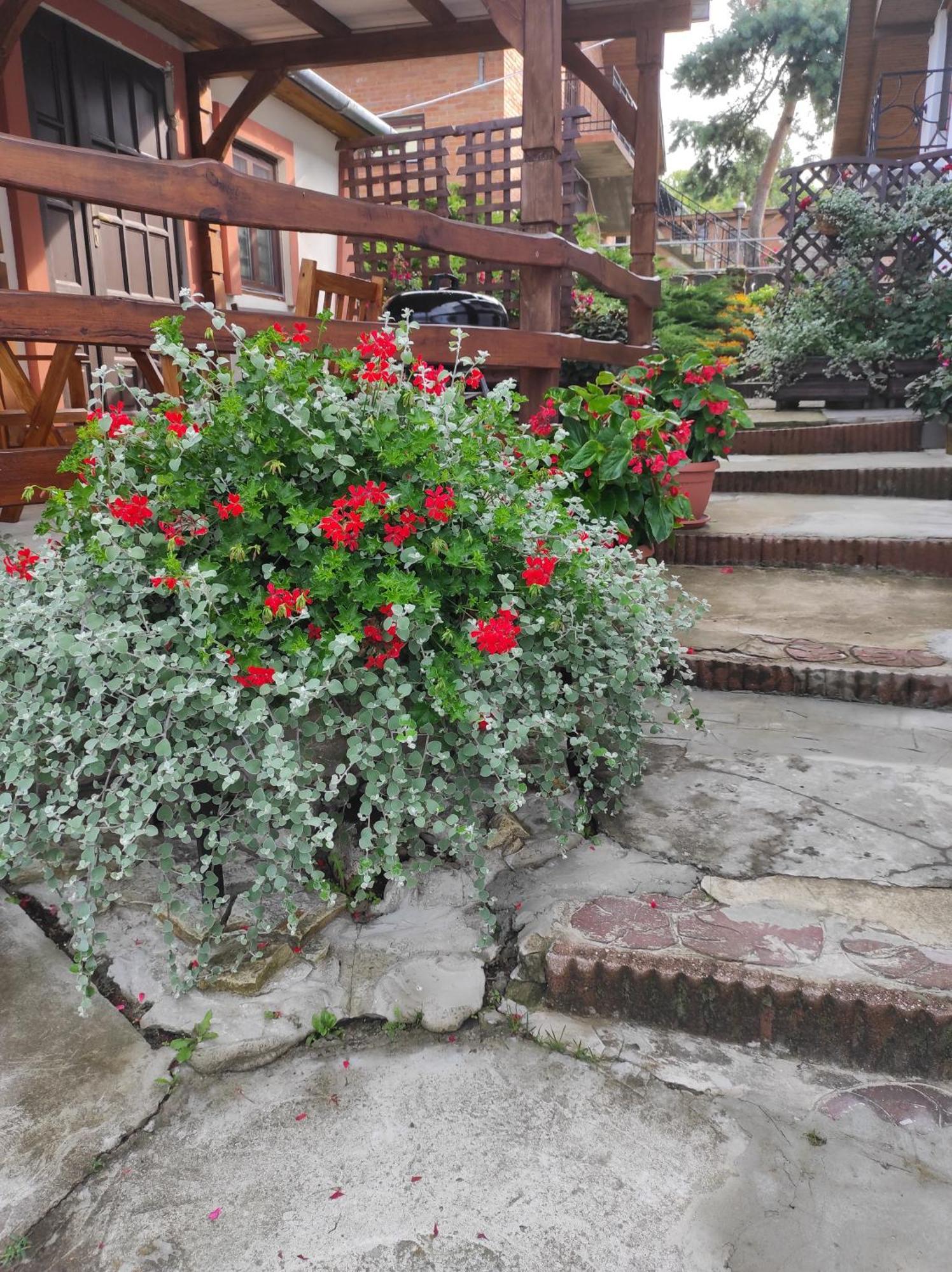 Stadnina Koni Tarka Zwierzyniec Extérieur photo