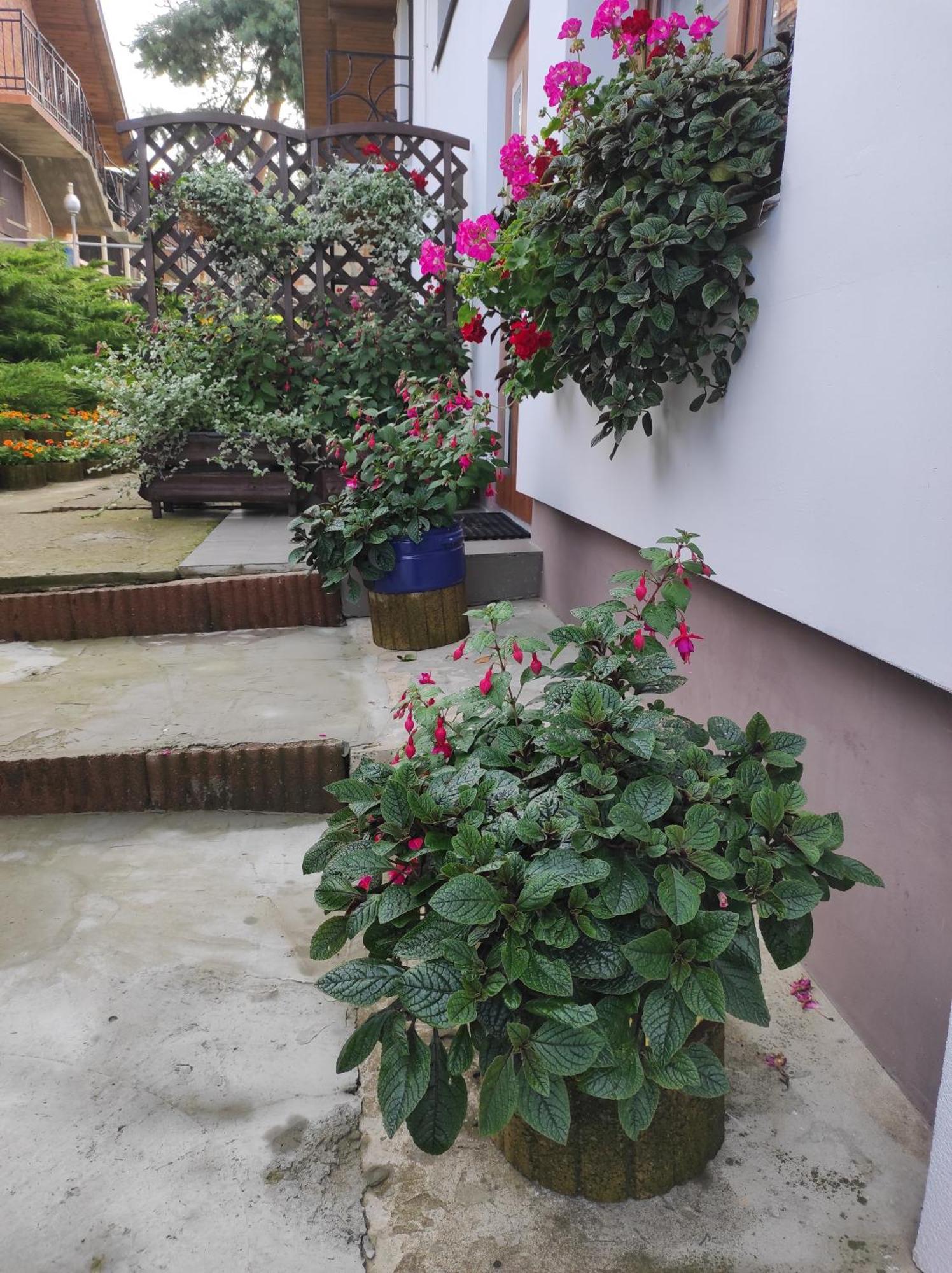 Stadnina Koni Tarka Zwierzyniec Extérieur photo